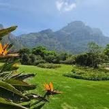 Kirstenbosch National Botanical Garden