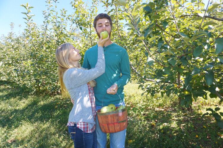 Apple picking - September 2017