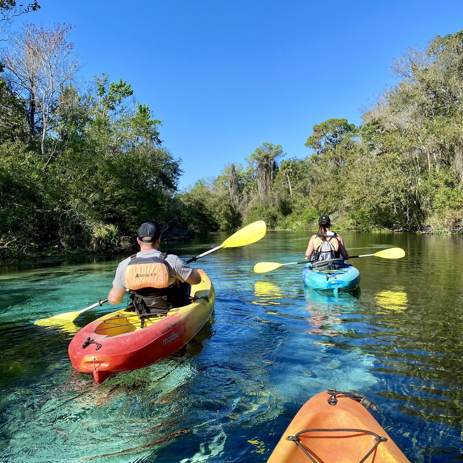 Paddling in Weeki Wachee, Florida 🐊