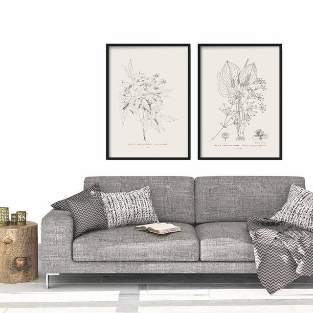 Botanical Print Set of 2 - Botanical Vintage Prints - Vintage Botanical Print Set - Vintage Botanical Prints -Vintage Line Drawing Prints