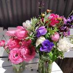 North Fork Flower Farm