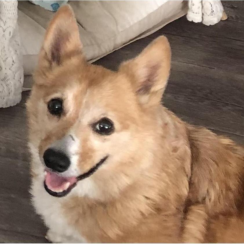 Schatzi!