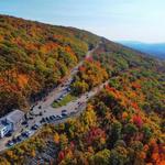 Mohawk Trail State Forest