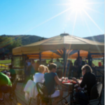 Snowshed Umbrella Bar
