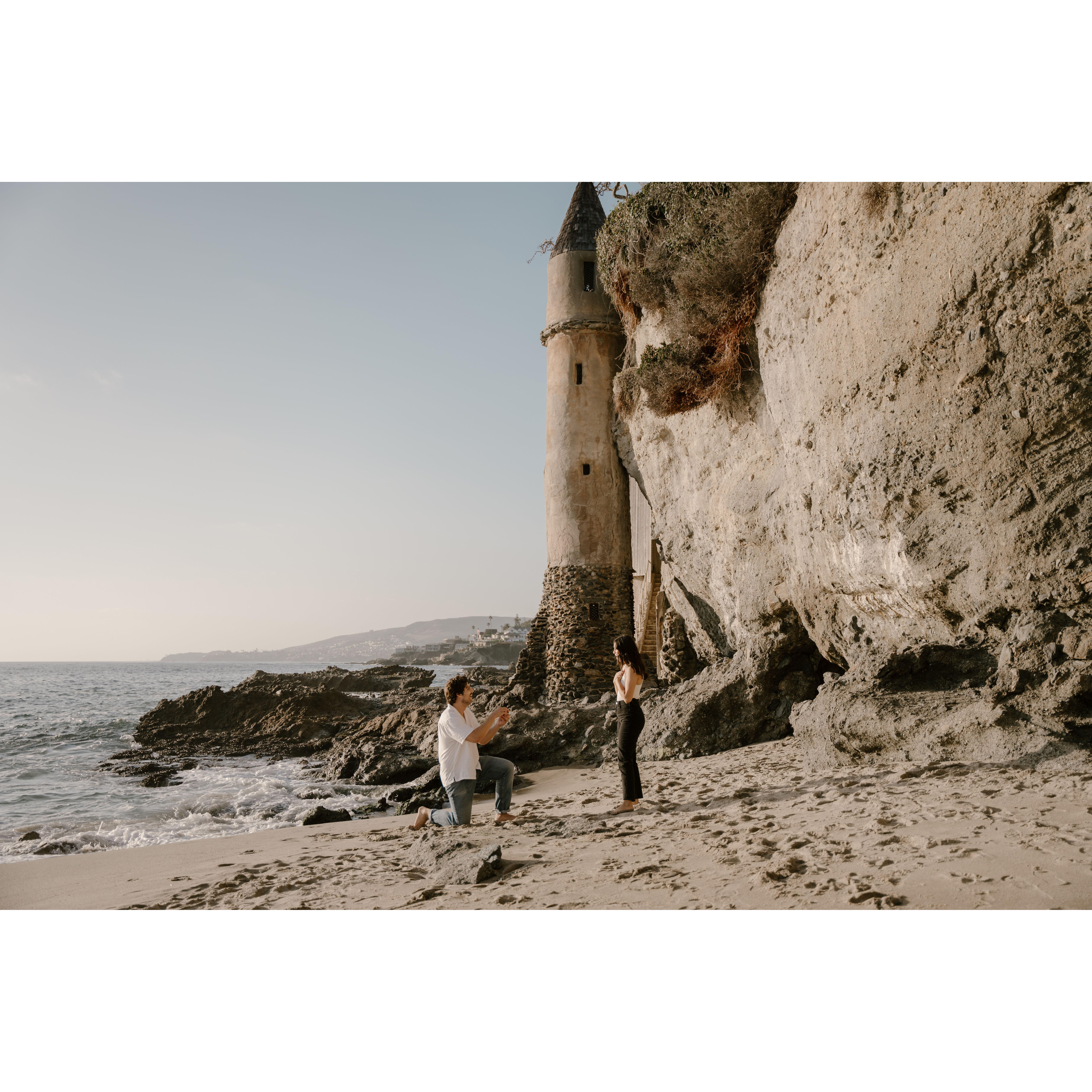 "Will you marry me?"