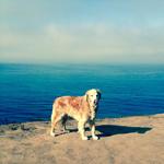 Douglas Family Preserve