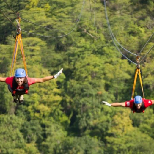Honeymoon Zipline through the Rainforest