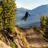 Trestle Bike Park
