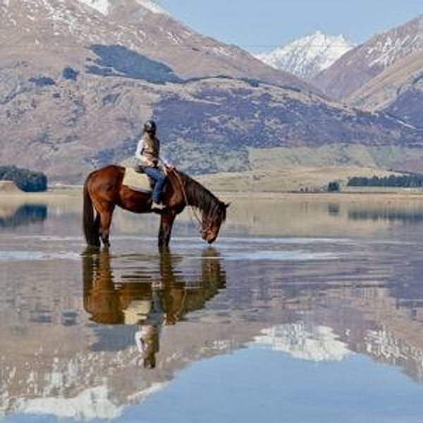 Horseback Riding in NZ