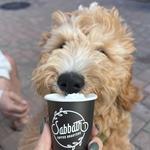 Sabbath Coffee Roasters