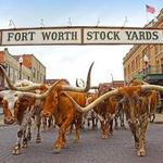 Fort Worth Stockyards