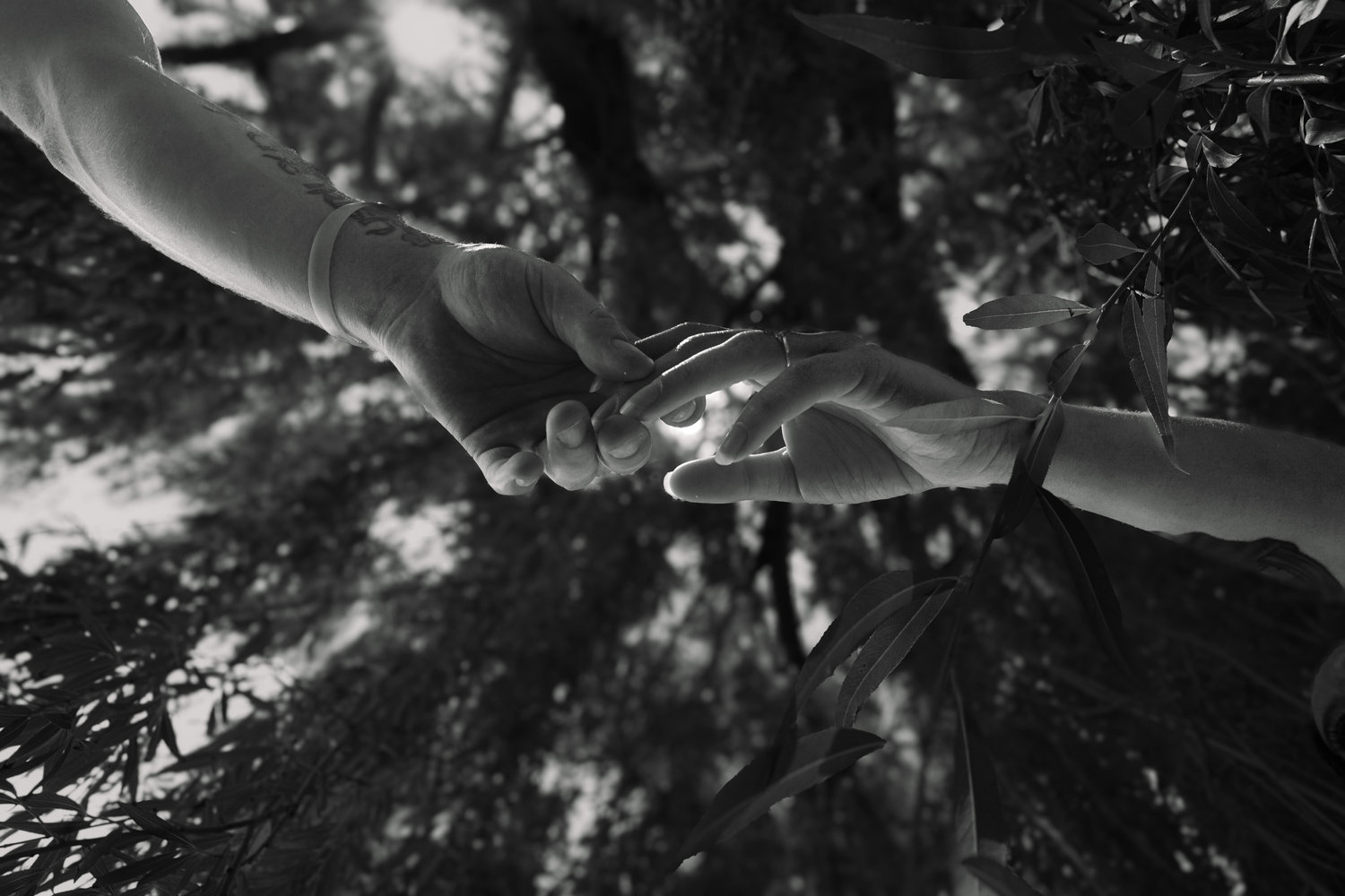 The Wedding Website of Alyssia Fletcher and Seth Kenyon