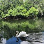 Audubon Park