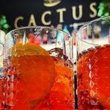 Cactus BAR