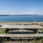 Camano Island State Park
