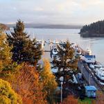 Friday Harbor