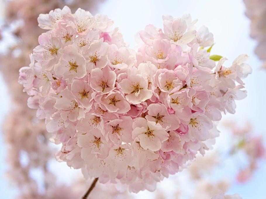 The Wedding Website of Genesi Vastarella and Dariusz Kusper