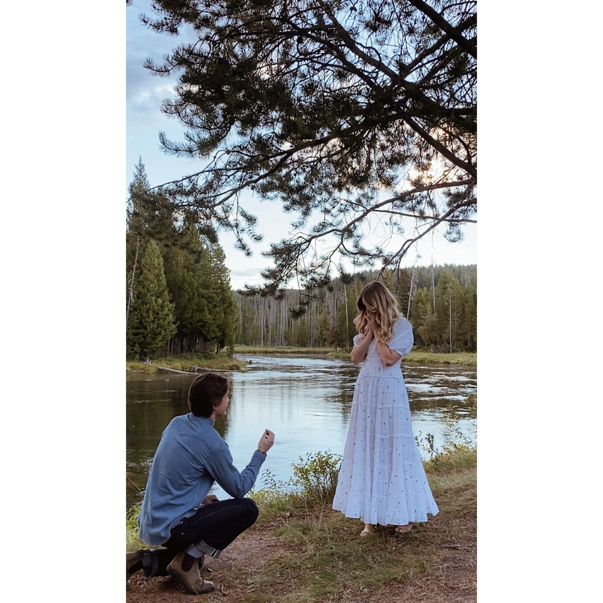 8/29/2023. The most perfect moment.