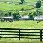 Unique Horse Farm Tours