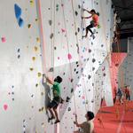 Vertical Ventures
