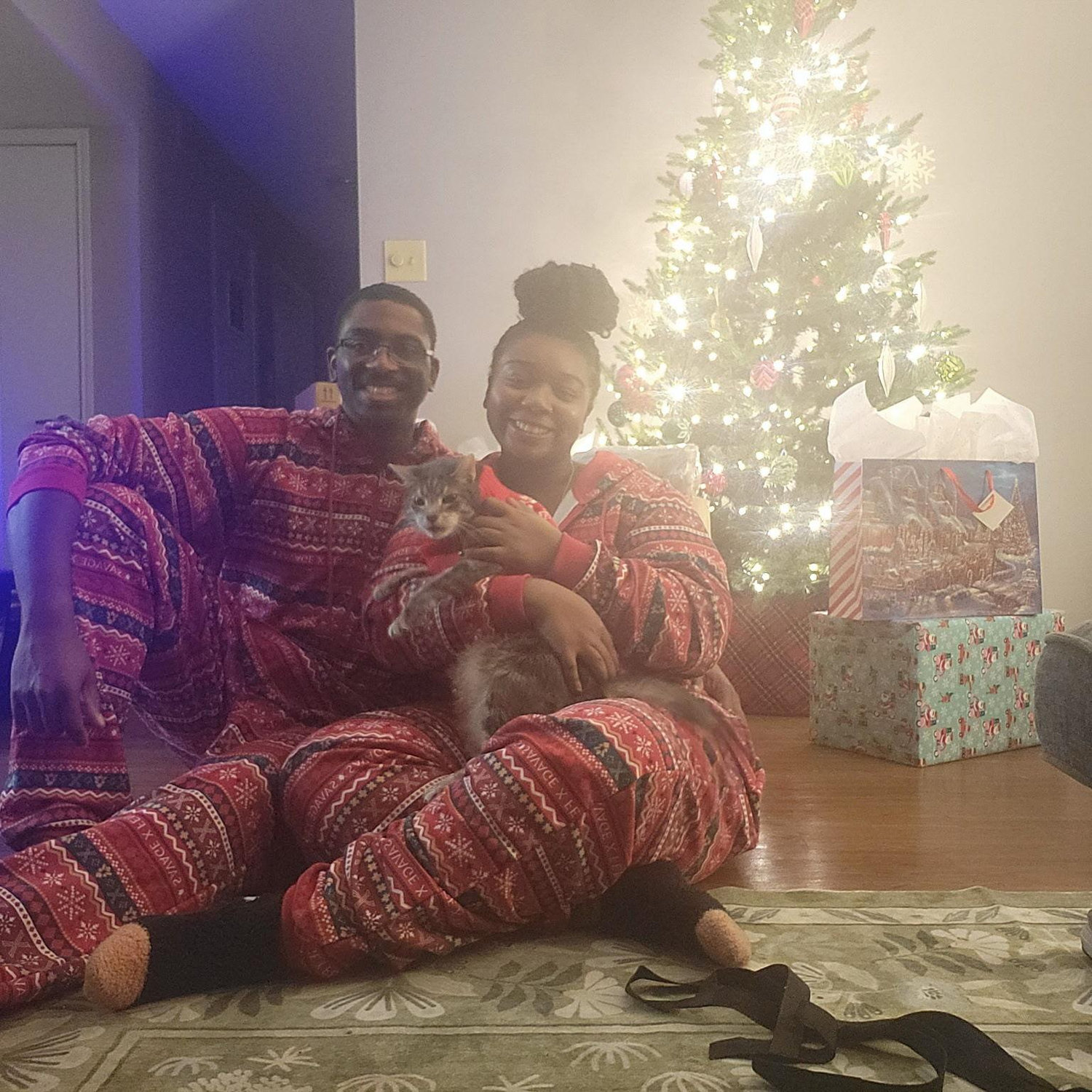 Our first Christmas in our townhome!