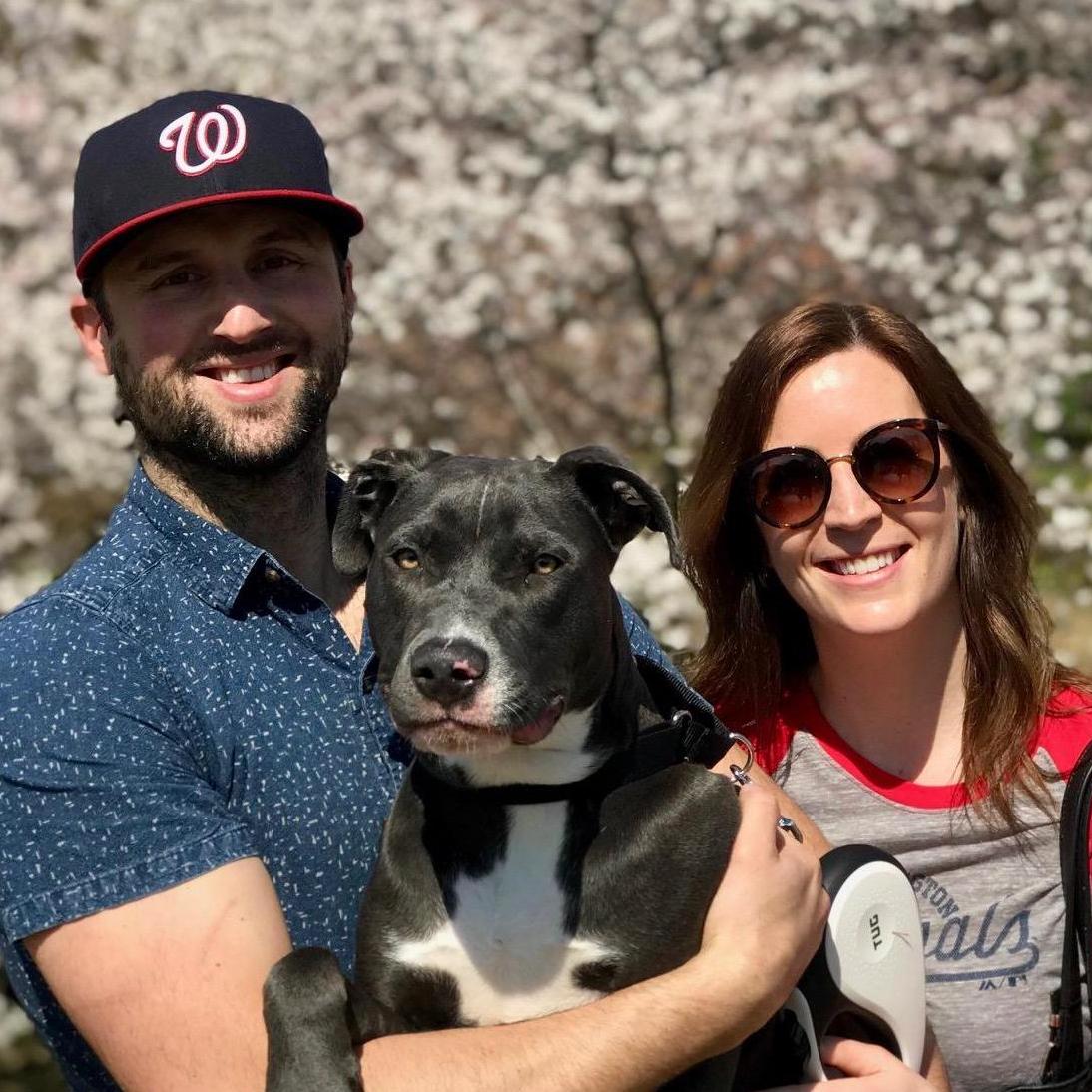 First visit to the cherry blossoms for Bryant AND new puppy Archie! (April 2019)