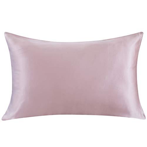 ZIMASILK 100% Mulberry Silk Pillowcase for Hair and Skin,Both Side 19 Momme Silk, 1pc (Queen 20''x30'', Light Plum)