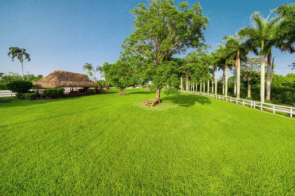 The Wedding Website of Karla Garcia and Eduardo Gonzalez