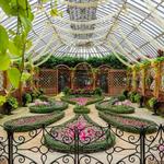 Phipps Conservatory and Botanical Gardens