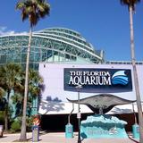 The Florida Aquarium