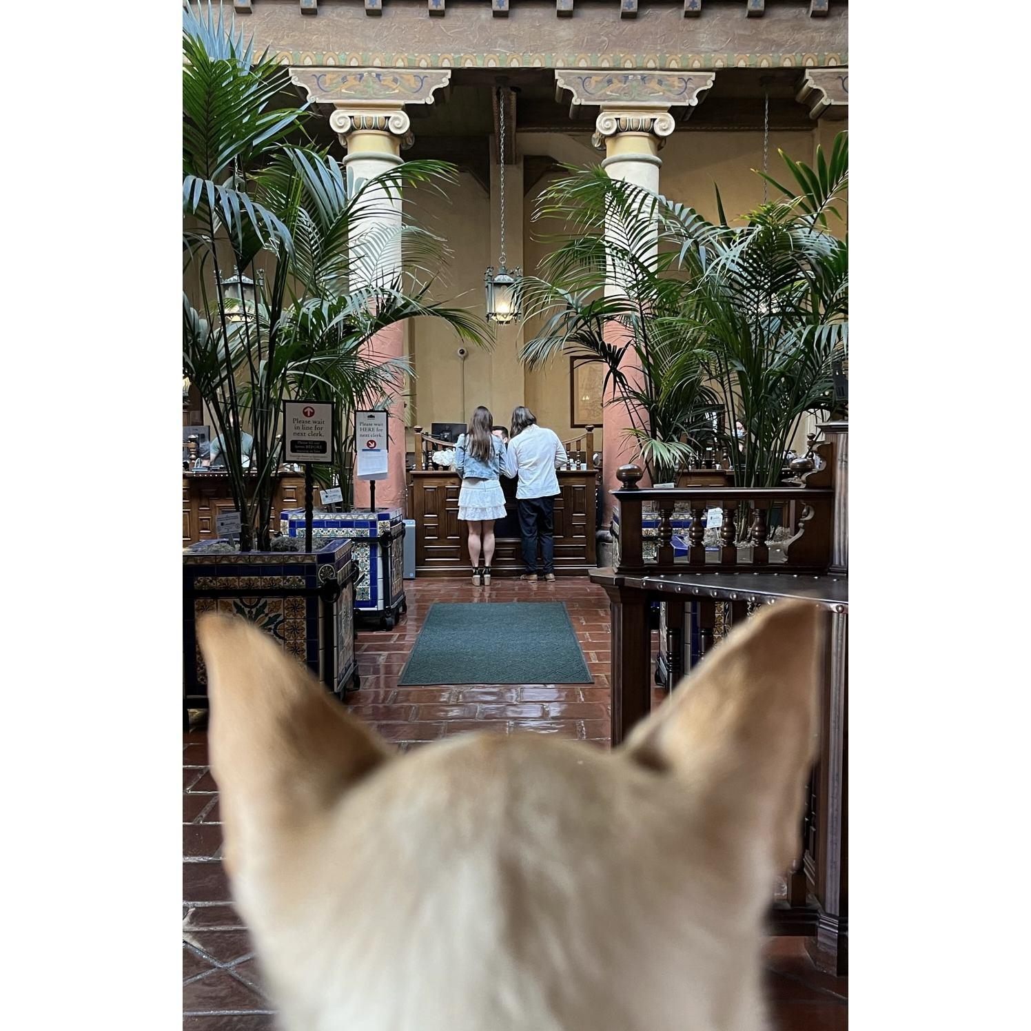 Santa Barbara Courthouse, "I do!"