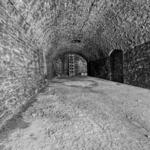 American Legacy Tours