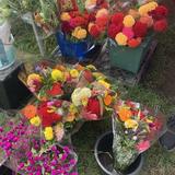 RVA BIG Market