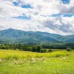 Cades Cove Scenic Loop