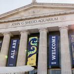 Shedd Aquarium