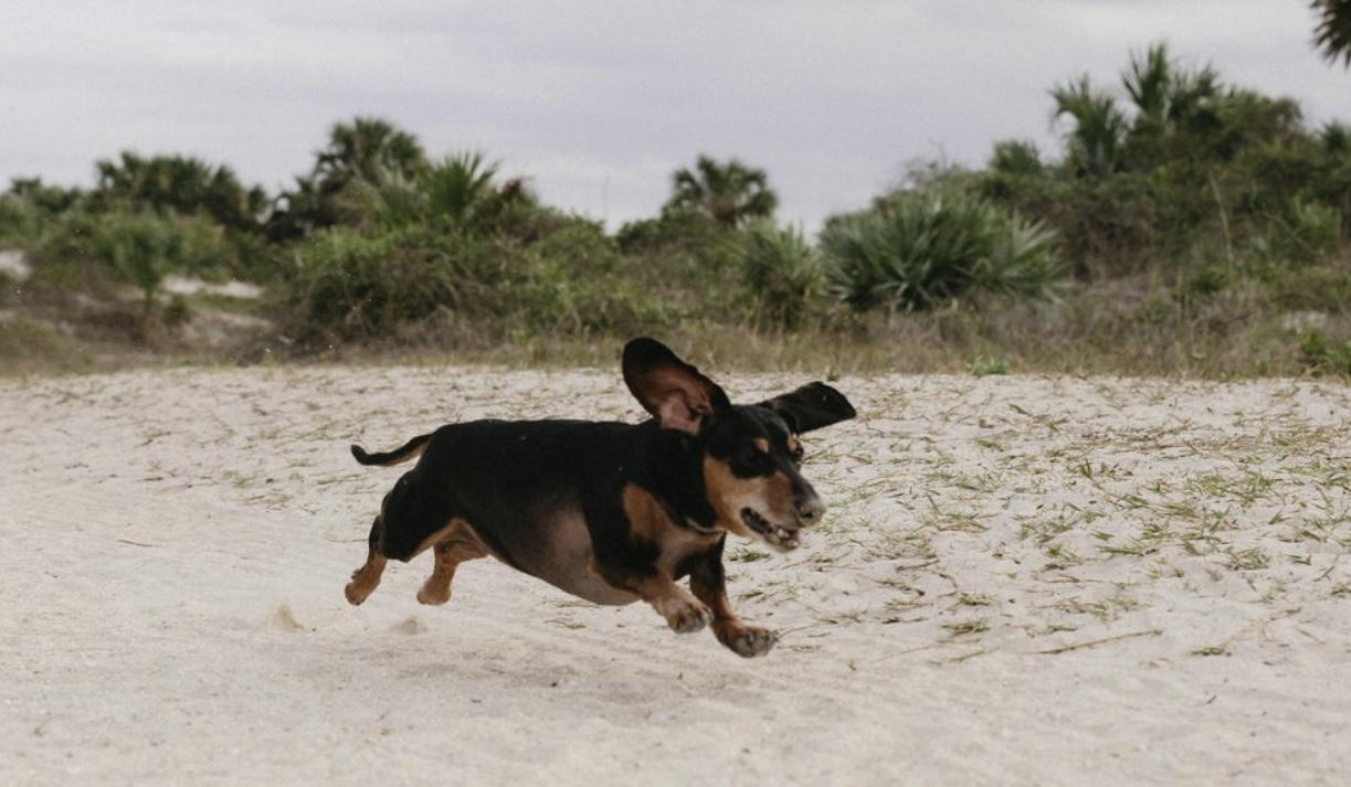 The Wedding Website of Melina Garcia and Nicholas Iwaniec