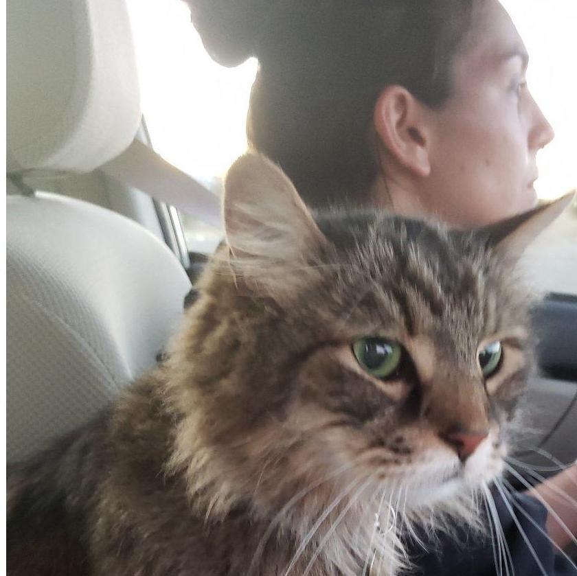 Co-Pilot Chief wondering what state we'll end up in next