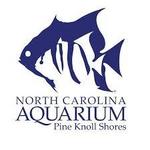 North Carolina Aquarium at Pine Knoll Shores