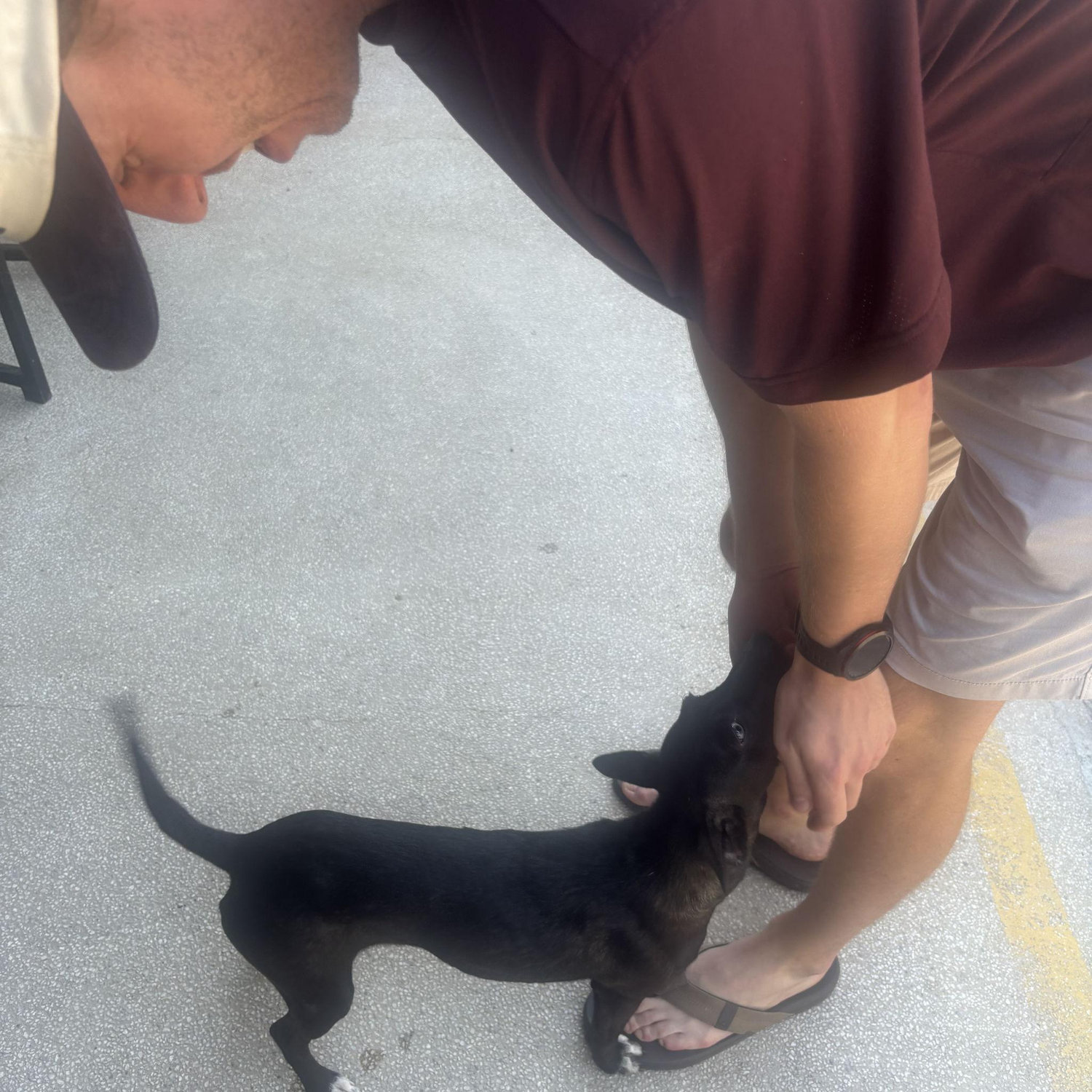 Byron and I made sure to give all of the street dogs some pets.