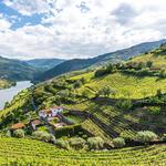 Douro Valley
