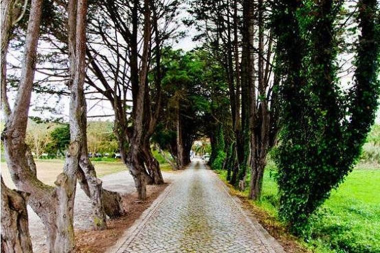 The Wedding Website of Joanne O'Brien and João Lemos