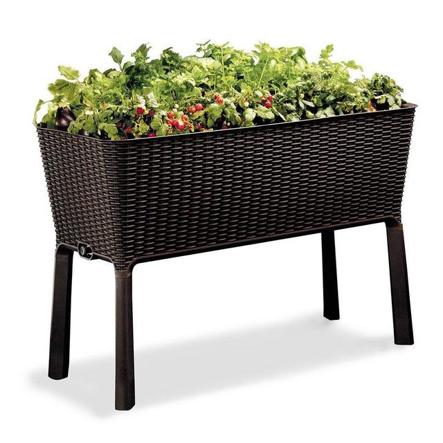 Keter Easy Grow Patio Garden Flower Plant Planter Raised Elevated Garden Bed, Brown