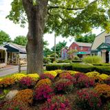 Old Mistick Village