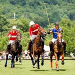 Polo at King Family Vineyards