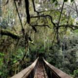 Brevard County Enchanted Forest Sanctuary