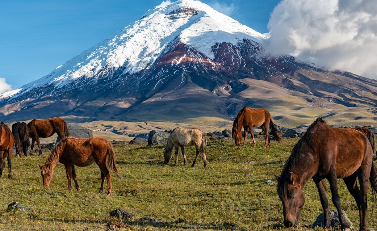 The Wedding Website of Daniella Pareja and Valtenius Beltrao