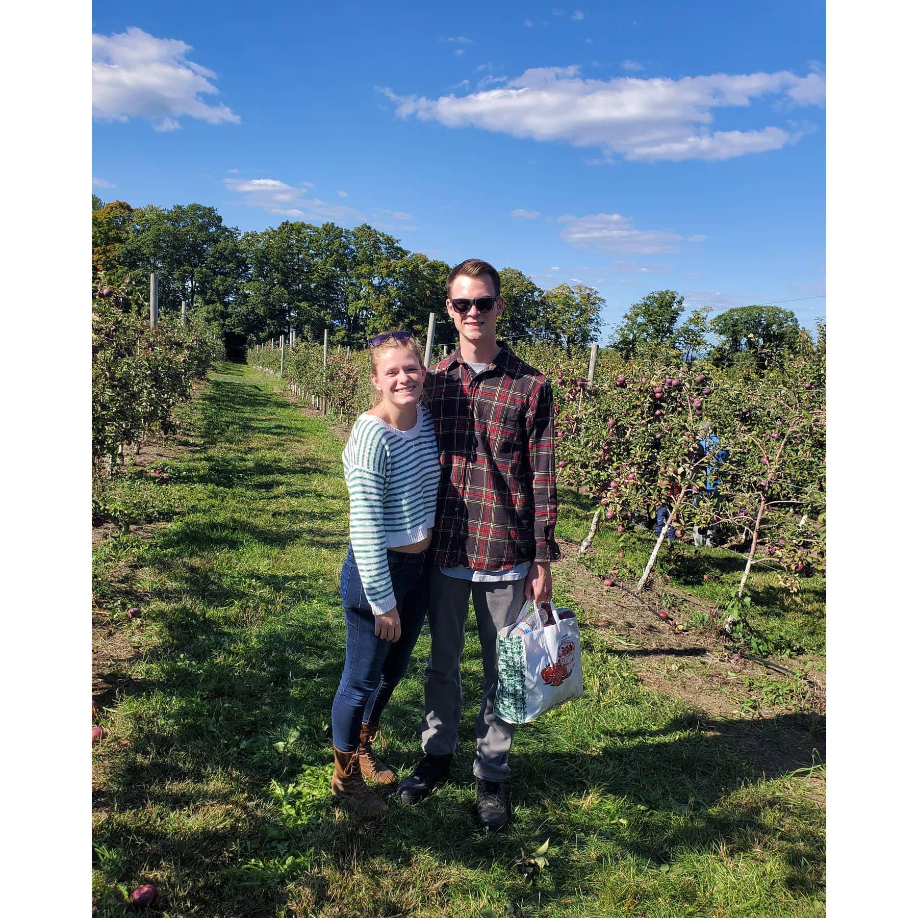 Can’t forget more apples!