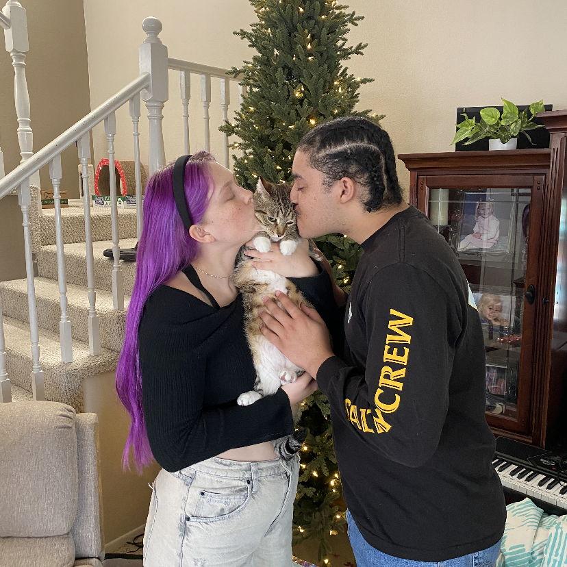 Our yearly tradition of taking a Christmas photo with Miso