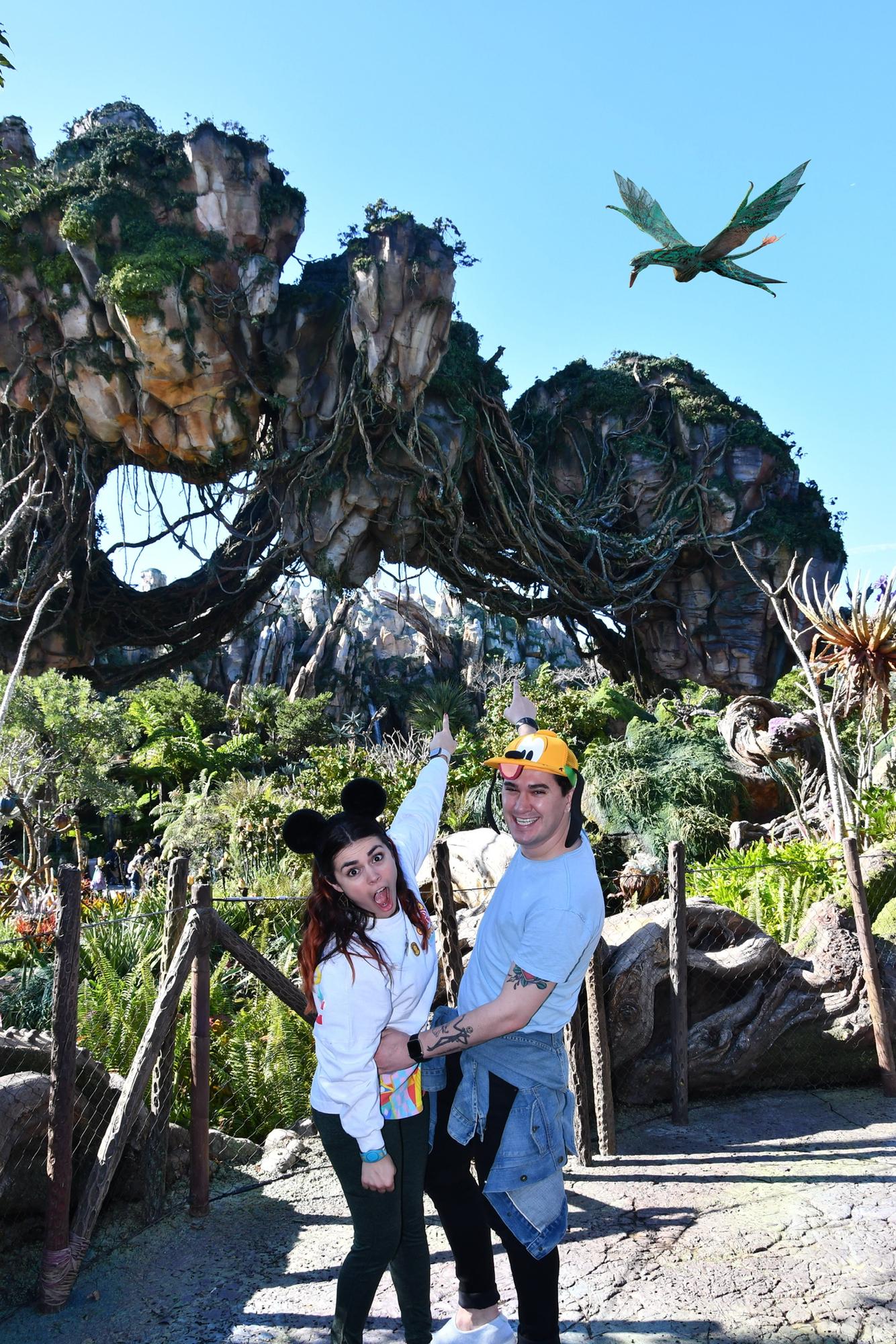 Disneyworld Trip January 2020