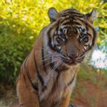 Oklahoma City Zoo